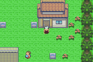 True Pokemon Saga