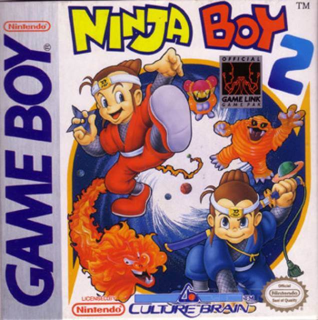 Ninja Boy 2